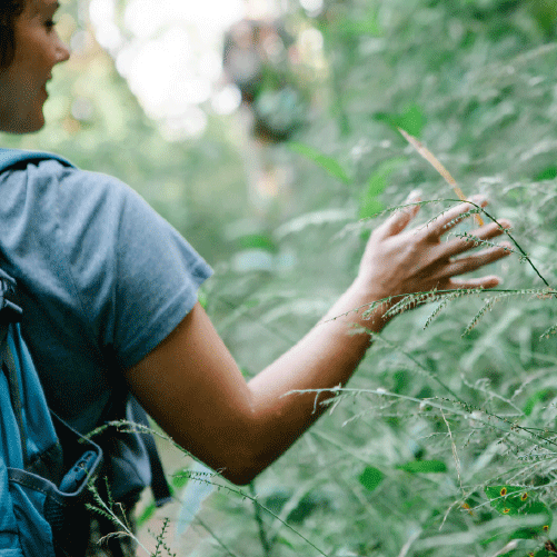 ¿Qué es el triptófano y cómo puede mejorar tu bienestar?